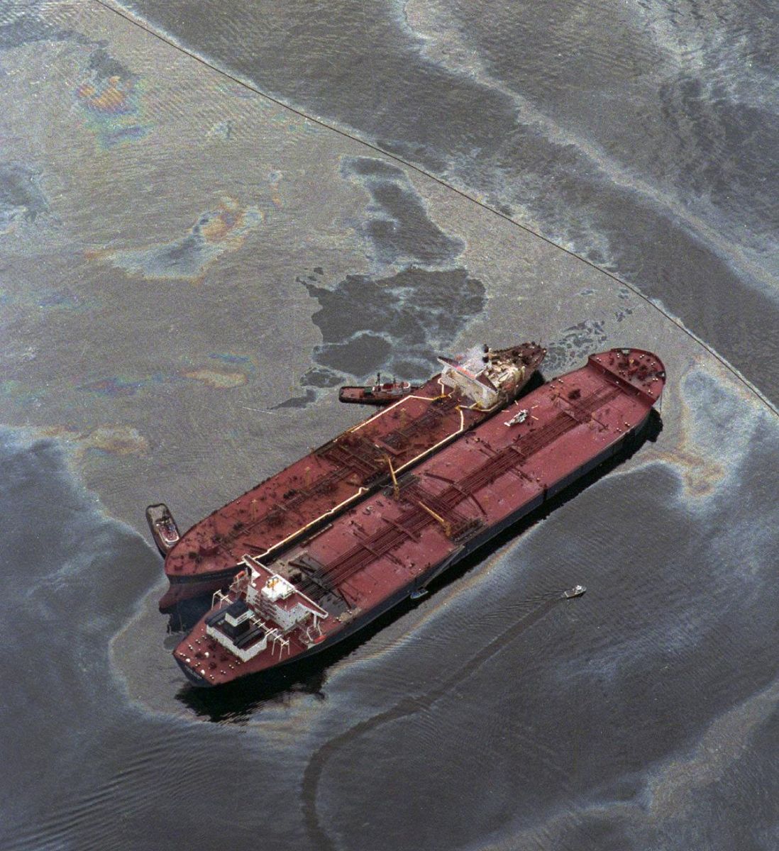 تراژدی نفت در آمریکا
