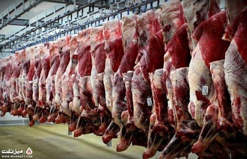 قاچاق گوشت | میز نفت